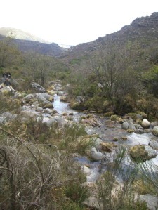 vue-riviere