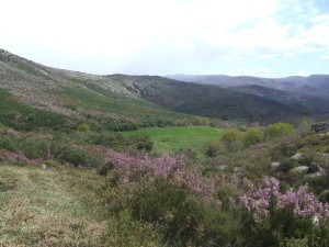 vue-bruyeres