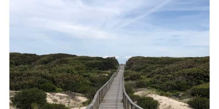 Les dunes de São Jacinto Retour en images
