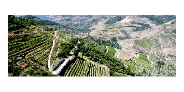 Balade dans Douro Retour en images