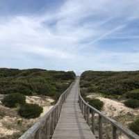 Les dunes de São Jacinto Retour en images