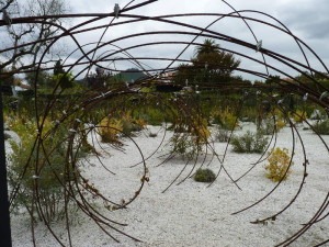 jardin3.jpg