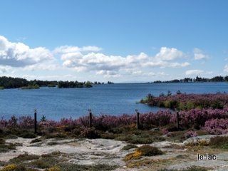 P1010043