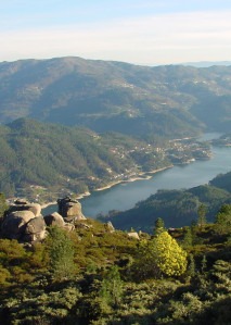 Panorâmica caniçada gerês