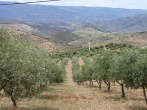 P1050764