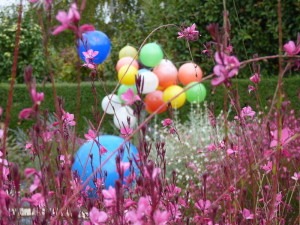 jardin1.jpg