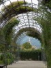 jardin4.jpg