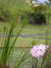 jardin7.jpg